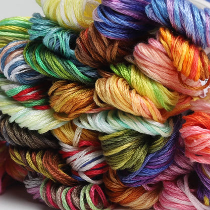 40 Variegated Colors - Cotton Embroidery Floss